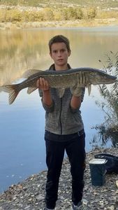 Northern Pike
