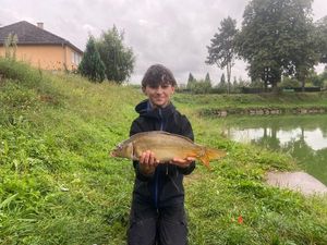Mirror Carp