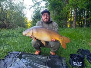 Mirror Carp