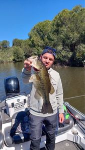 Smallmouth Bass