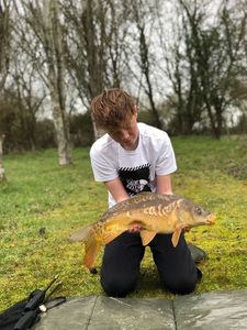 Mirror Carp