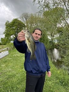 Smallmouth Bass