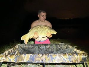 Common Carp