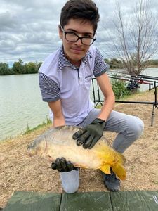 Mirror Carp