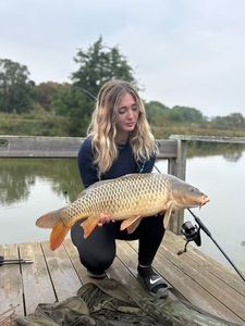 Common Carp