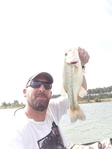 Smallmouth Bass