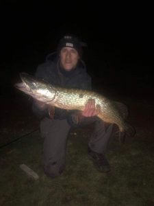 Northern Pike