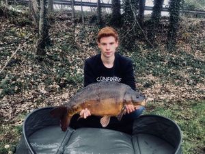 Mirror Carp