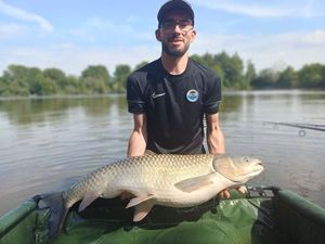 Grass Carp