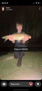 Common Carp