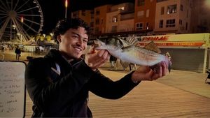 European Bass (Seabass)