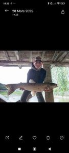 Grass Carp
