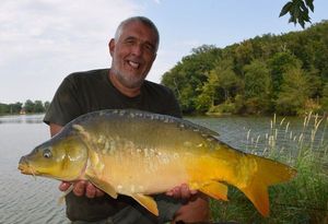 Mirror Carp