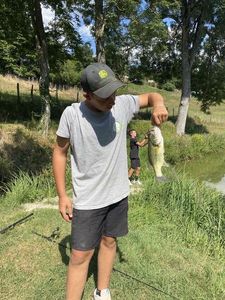 Largemouth Bass