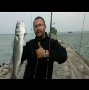 European Bass (Seabass)