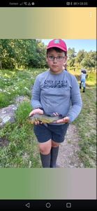 Tench