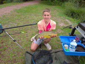 Tench