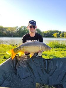 Mirror Carp
