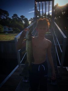 Northern Pike