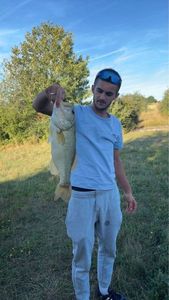 Largemouth Bass