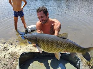 Grass Carp