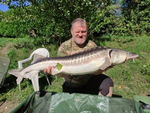 Sturgeon