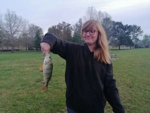 European Perch