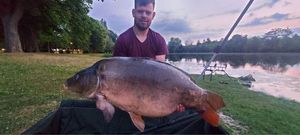 Mirror Carp