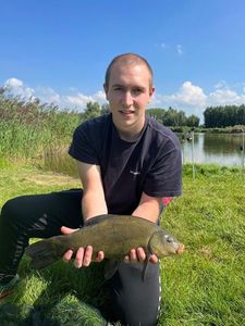 Tench