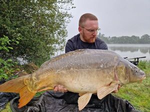 Mirror Carp