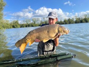 Mirror Carp