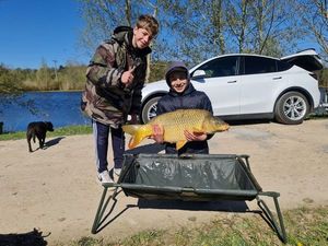 Common Carp