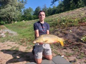 Mirror Carp