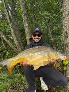 Mirror Carp