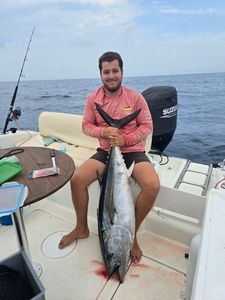 Bluefin Tuna