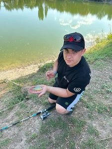 Green Sunfish