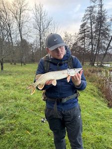 Northern Pike