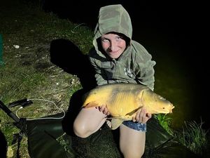 Mirror Carp