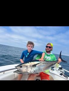 Bluefin Tuna