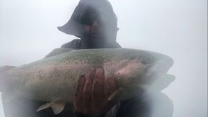 Rainbow Trout