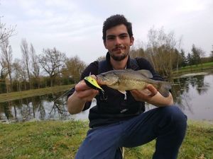 Largemouth Bass