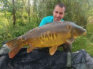Mirror Carp