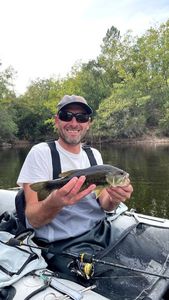 Largemouth Bass