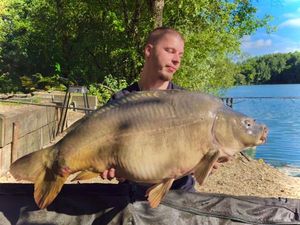 Mirror Carp