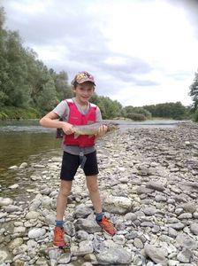 Brown Trout