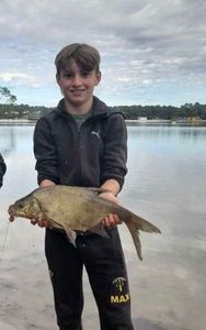 Common Bream