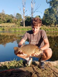 Crucian Carp
