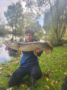 Northern Pike