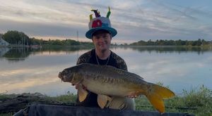 Mirror Carp