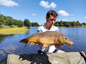 Mirror Carp